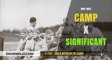 Unveiling the Historical Importance of Camp X: A Comprehensive Analysis