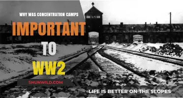 Concentration Camps: Key Role in WWII's Devastation and Legacy
