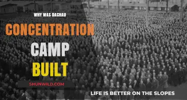 The Origins and Purpose of Dachau Concentration Camp