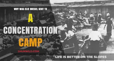 Elie Wiesel's Harrowing Journey to Auschwitz: A Historical Perspective