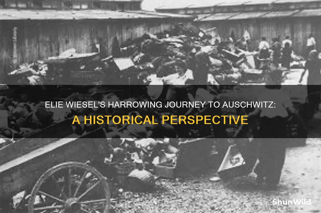 why was elie wiesel sent to a concentration camp