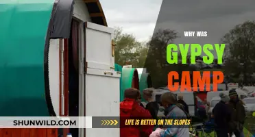 Unveiling the Truth: The Controversial Closure of Gypsy Camps