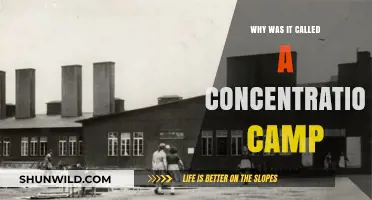 Concentration Camps: Origins, Terminology, and Historical Context Explained