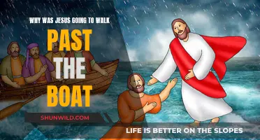 Jesus' Walk Past the Boat: A Symbolic Act?