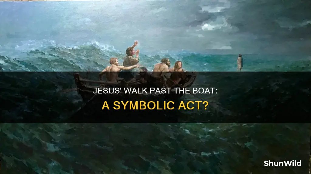 why was jesus going to walk past the boat