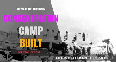 The Origins of Auschwitz: Understanding Its Purpose and Construction