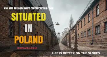 Auschwitz in Poland: Strategic Location and Historical Significance Explained