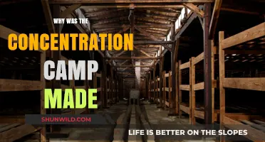 The Dark Origins of Concentration Camps: A Historical Analysis