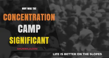 Concentration Camps: A Dark Legacy of Human Rights Violations