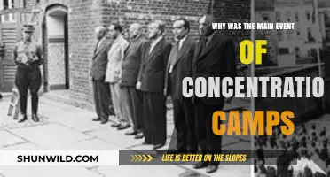Unveiling the Dark Purpose Behind Concentration Camps' Main Events