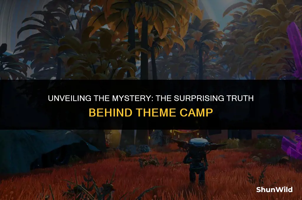why was theme camp