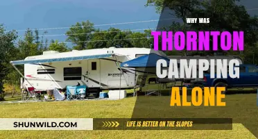 Solo Adventure: Unraveling the Mystery of Thornton's Lone Camping Trip