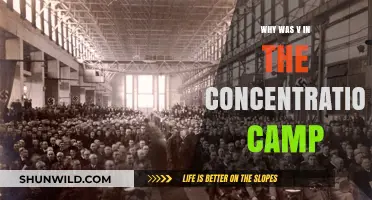 Unveiling V's Harrowing Concentration Camp Experience: A Historical Perspective