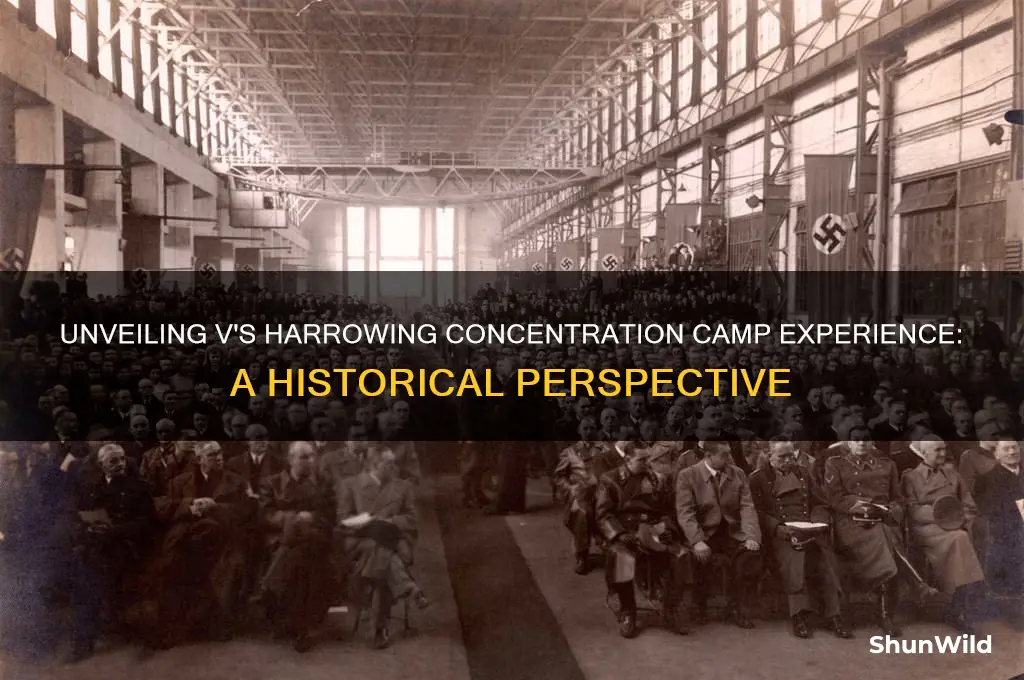 why was v in the concentration camp