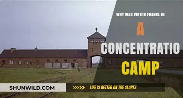 Viktor Frankl's Imprisonment: Unraveling His Time in a Concentration Camp