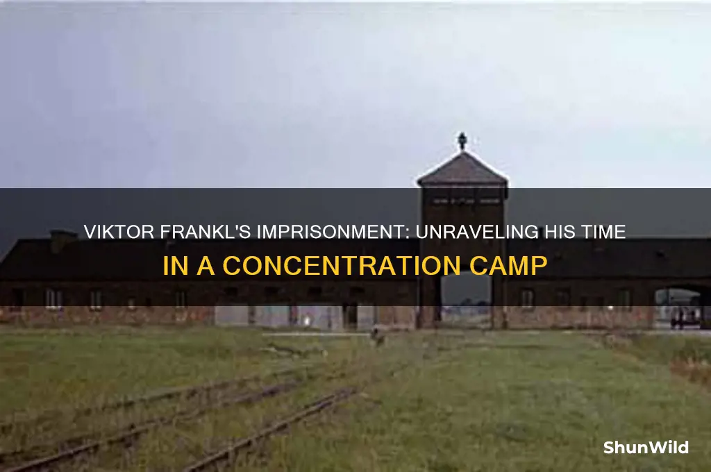 why was viktor frankl in a concentration camp