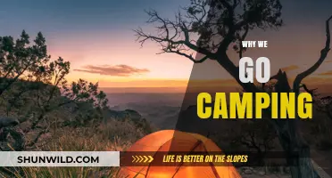 Embracing Nature: The Timeless Appeal of Camping Adventures