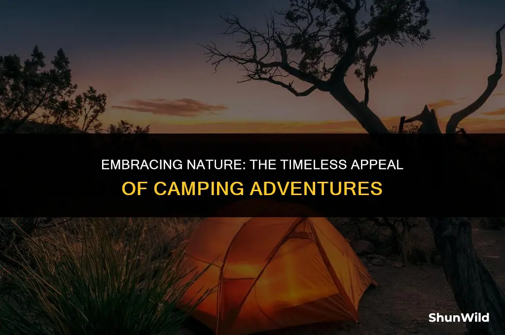 why we go camping