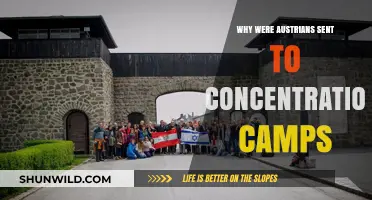 Persecution of Austrians: The Untold Story of Concentration Camp Victims