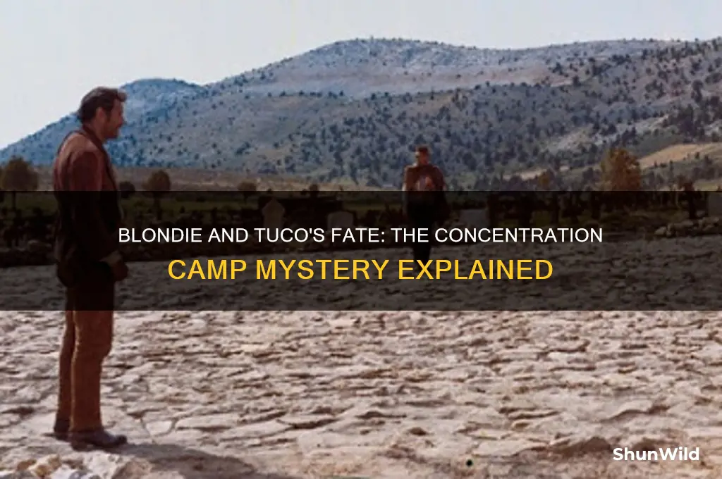 why were blondie and tuco sent to a concentration camp