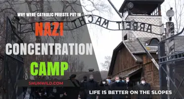 Catholic Priests in Nazi Camps: Persecution and Resistance Explained