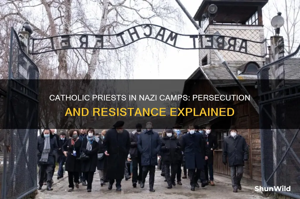 why were catholic priests put in nazi concentration camp