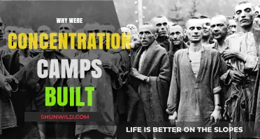 The Dark Origins of Concentration Camps: A Historical Analysis