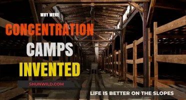 The Dark Origins of Concentration Camps: A Historical Analysis