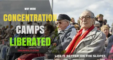 Liberation of Concentration Camps: Unveiling the Allied Forces' Decisive Actions