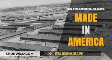 America's Dark History: The Creation of Concentration Camps Explained
