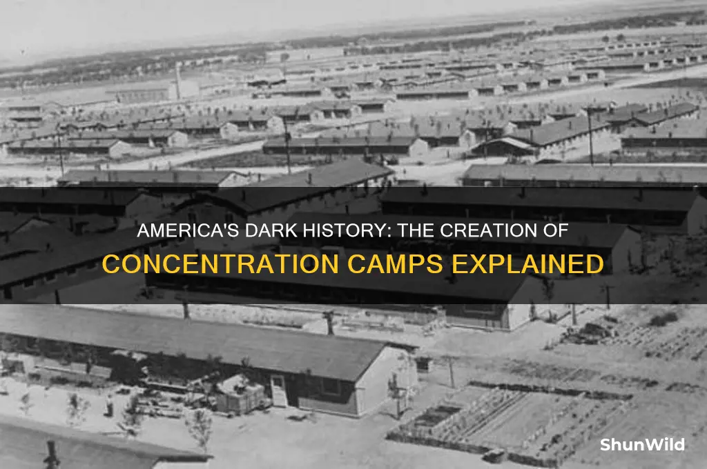 why were concentration camps made in america
