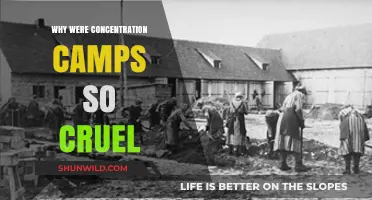 The Brutal Reality: Understanding the Cruelty of Concentration Camps