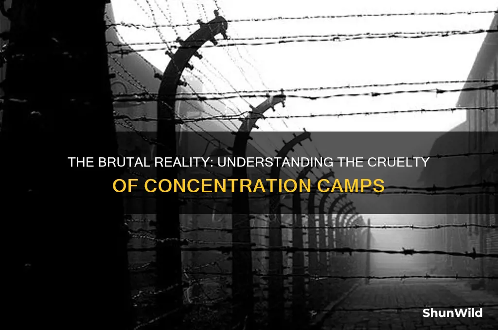 why were concentration camps so cruel
