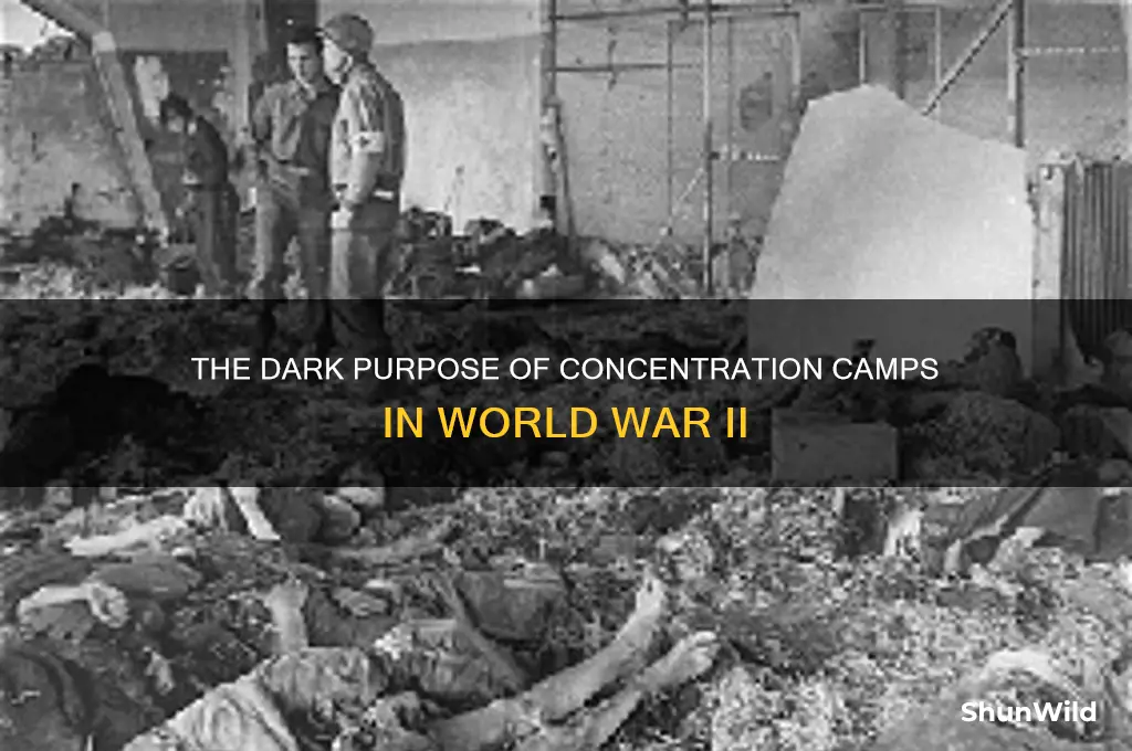why were concentration camps used in ww2