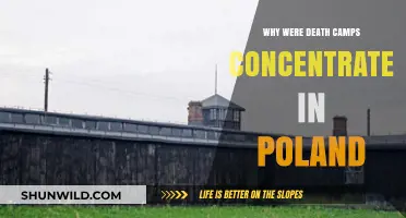Poland's Tragic Role: Understanding the Concentration of Death Camps