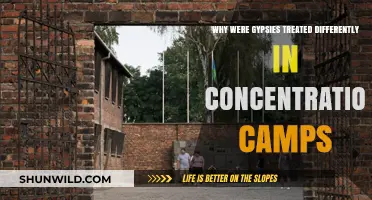 Persecution of Gypsies in Concentration Camps: A History of Discrimination