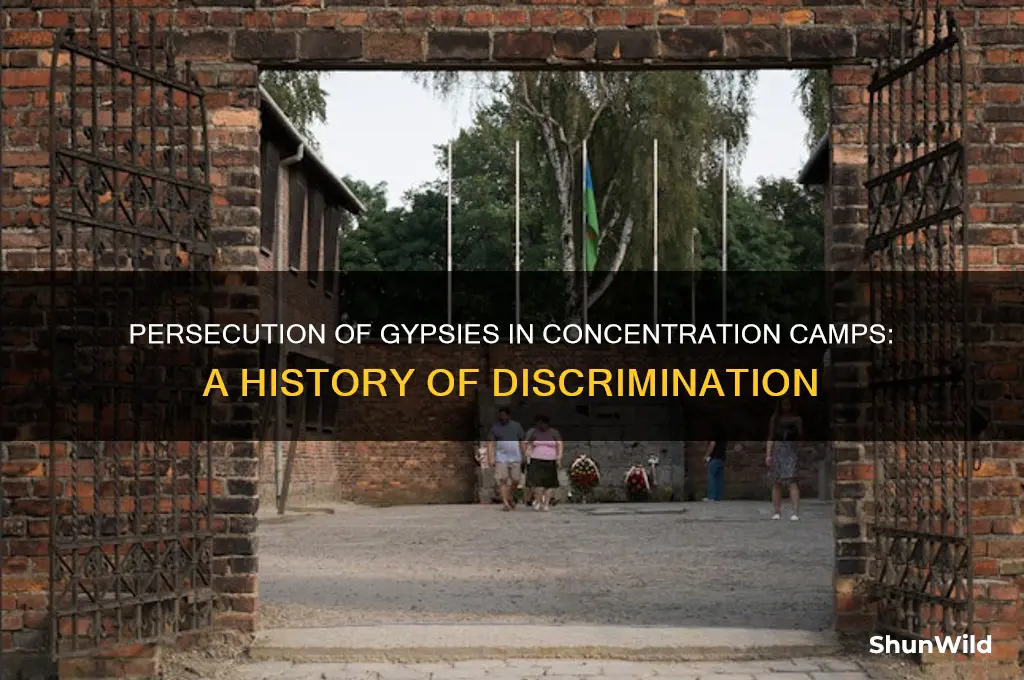 why were gypsies treated differently in concentration camps