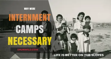 Were Internment Camps Necessary? A Historical Examination