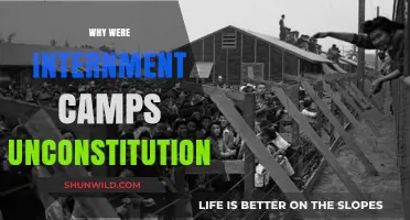 Unconstitutional Injustice: The Dark History of Internment Camps