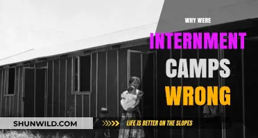 The Injustice of Internment: A Historical Reflection on Civil Liberties