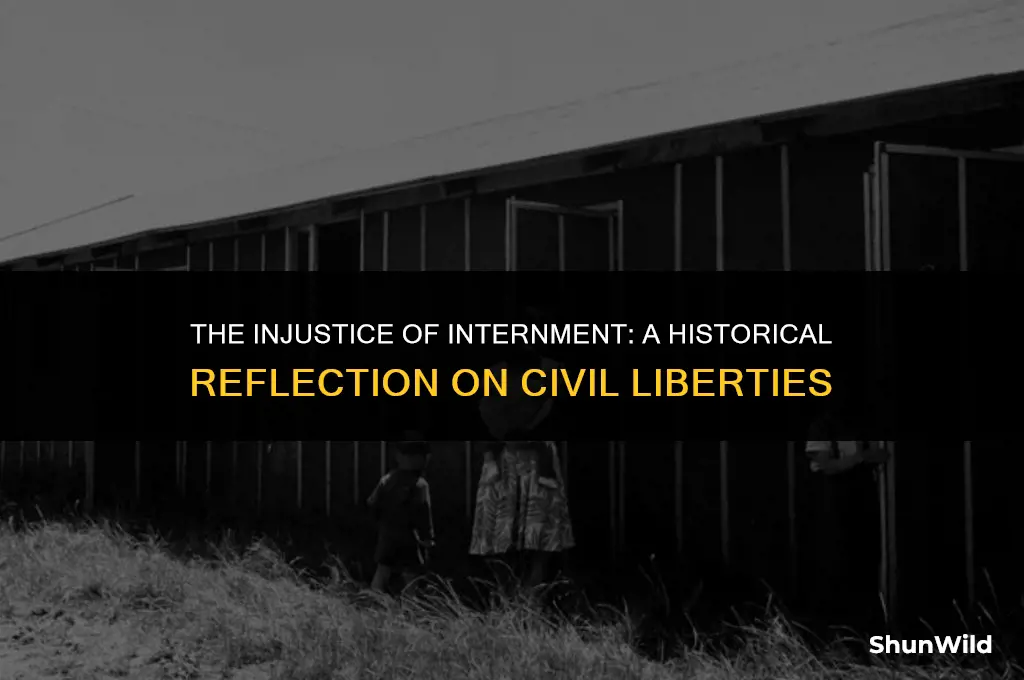 why were internment camps wrong