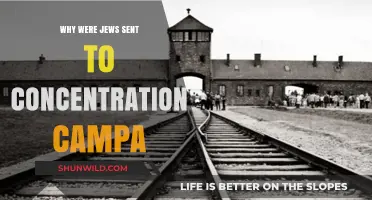 The Holocaust's Dark History: Why Jews Were Targeted in Concentration Camps