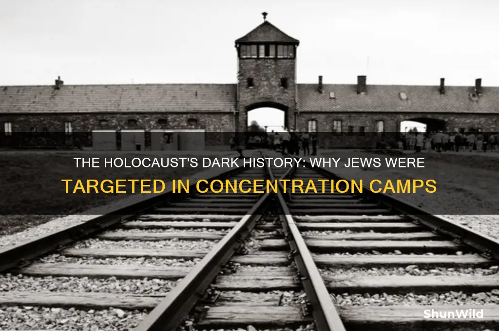why were jews sent to concentration campa