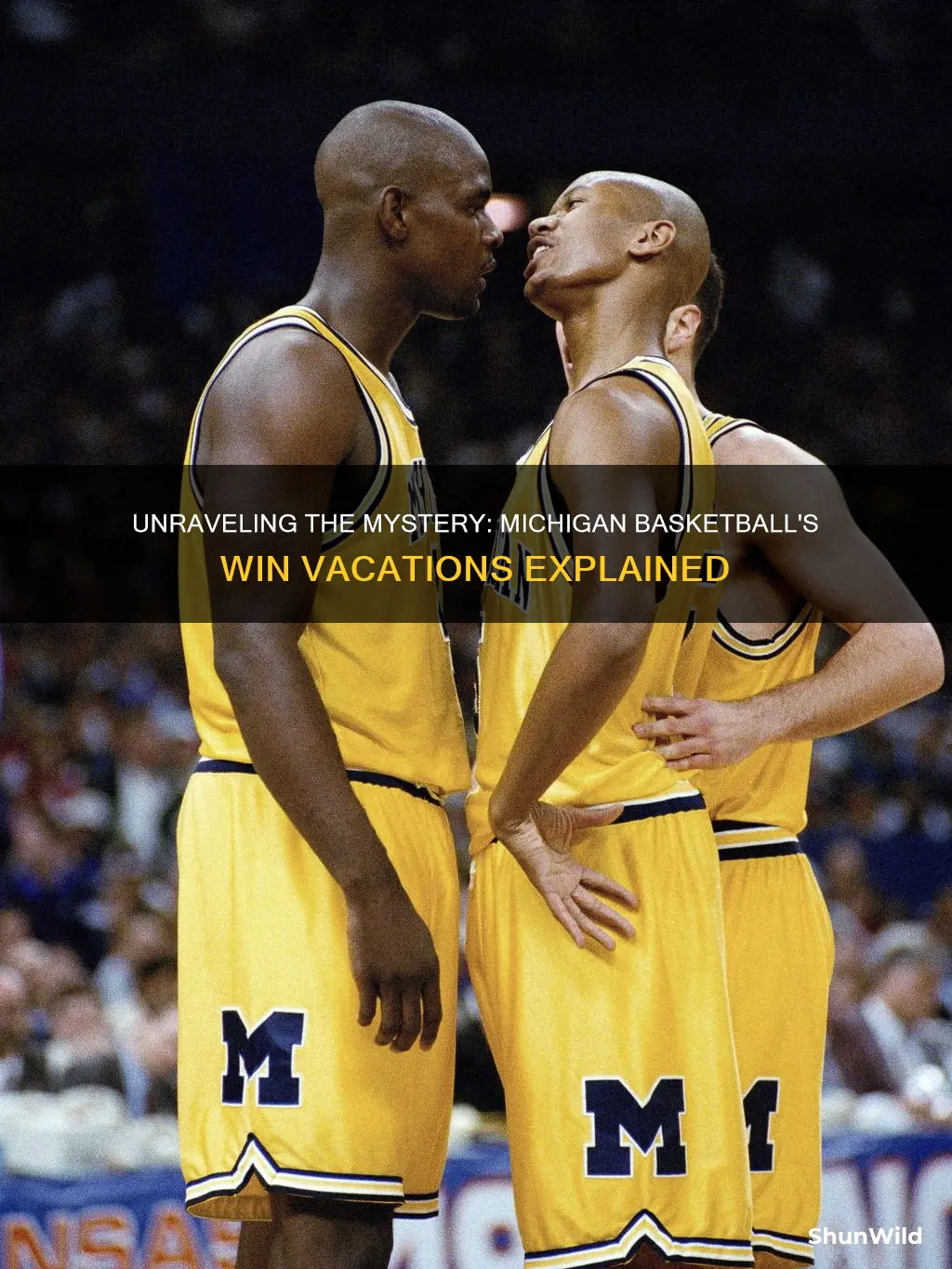 why were michigan basketball wins vacated