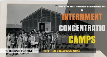 Japanese American Internment: Unraveling the Dark History of Injustice