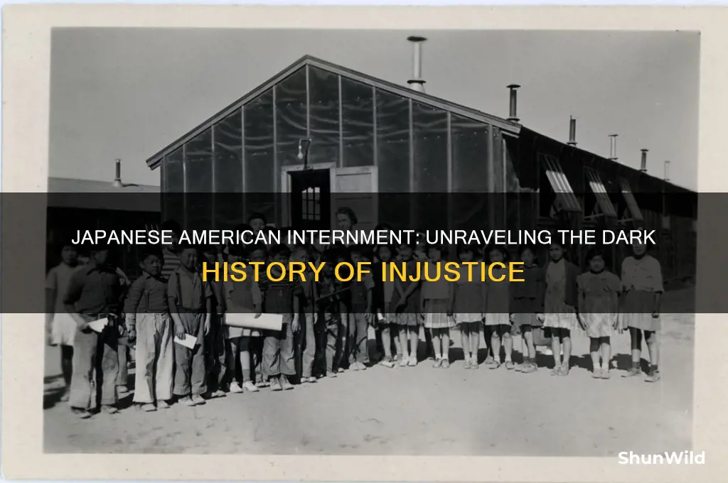 why were most japanese descendants put in internment concentration camps