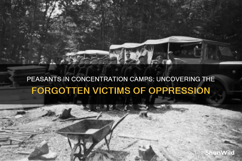 why were peasants in concentration camps