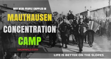 Mauthausen's Brutal Conditions: Understanding the Crippling of Prisoners