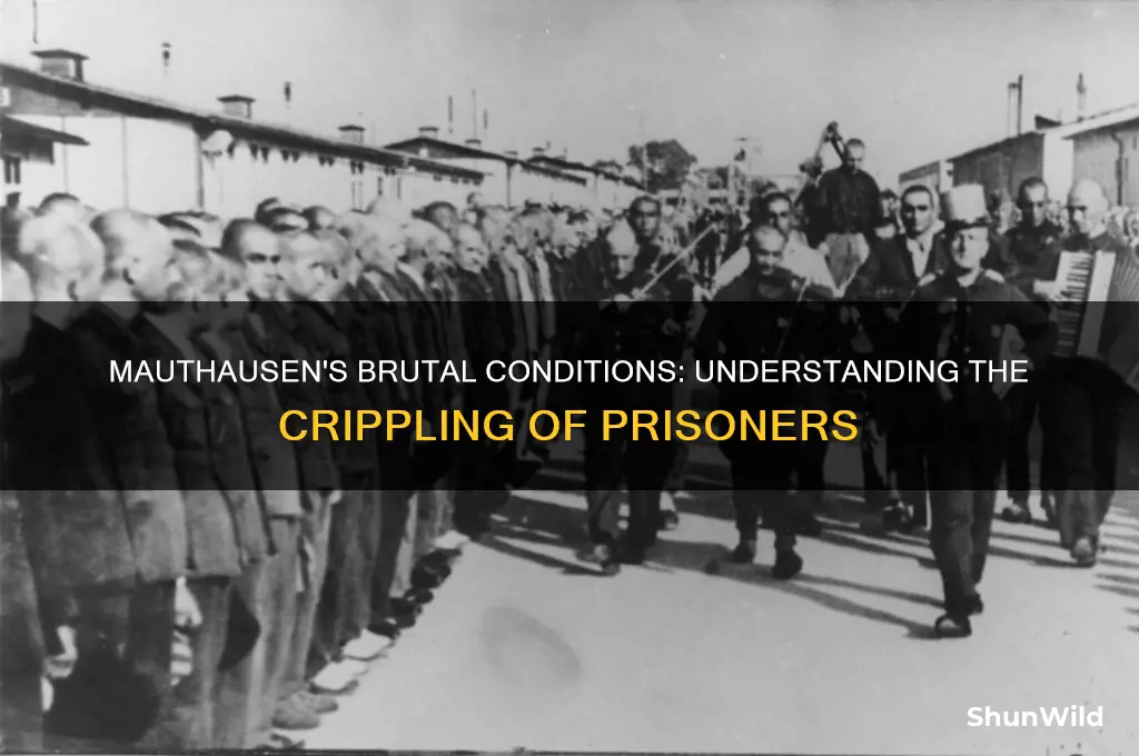 why were people crippled in mauthausen concentration camp