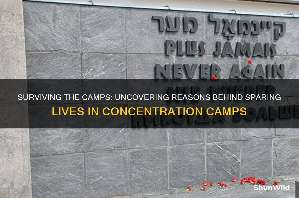 why were people in concentration camps not killed